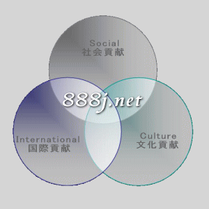 Contribution to "Social+  International+ Culture "